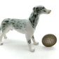 2 Greyhound Dogs