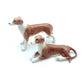 2 Greyhound Dogs
