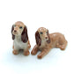 2 Brown Cocker Spaniel Dogs