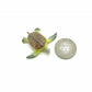 3 Sea Turtles