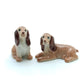2 Brown Cocker Spaniel Dogs