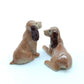 2 Brown Cocker Spaniel Dogs