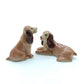 2 Brown Cocker Spaniel Dogs