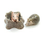 2 Hedgehog Porcupines with Tree Trunk