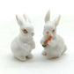 2 Tiny Rabbits