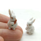 2 Tiny Rabbits