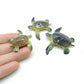 3 Sea Turtles