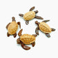 4 Brown Sea Turtles