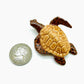 4 Brown Sea Turtles