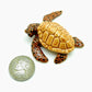4 Brown Sea Turtles