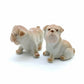 2 Brown Bulldog Dogs