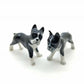 Boston Terriers Twin