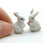 2 Tiny Rabbits