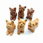 3 Yorkshire Terrier