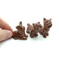 3 Yorkshire Terrier