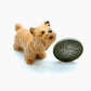 3 Yorkshire Terrier