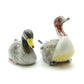 2 Northern Pintail Duck Ceramic Figurines Statue