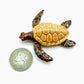 4 Brown Sea Turtles