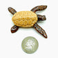 4 Brown Sea Turtles