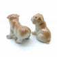 2 Brown Bulldog Dogs