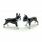 Boston Terriers Twin
