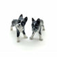 Boston Terriers Twin