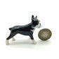 Boston Terriers Twin