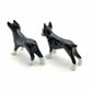 Boston Terriers Twin