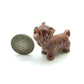3 Yorkshire Terrier