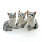 Set of 3 Siamese Cat Figurine Ceramic Statue
