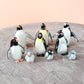 Set of 3 Penguin Bird Ceramic Figurine Rockhopper Jackass King Statue