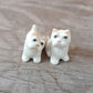2 Tiny White West Terrier Dogs