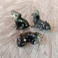3 Black Dachshund Puppies