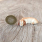 Golden Retriever Dog Sleep in Basket Ceramic Figurine Miniature Statue