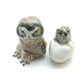 Mother Owl with Baby in Egg Ceramic Figurines