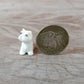 2 Tiny White West Terrier Dogs