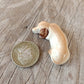 Golden Retriever Dog Sleep in Basket Ceramic Figurine Miniature Statue