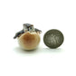 Set of 2 Owl Bird in Egg Ceramic Figurine Miniature Statue