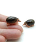 Set of 2 Tiny Hedgehog Porcupine Figurine Ceramic  Miniature Statue