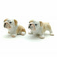 Bulldog Duo