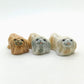 Pekingese Dog