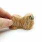 Pekingese Dog