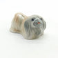 Pekingese Dog