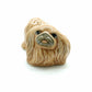 Pekingese Dog