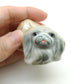 Pekingese Dog