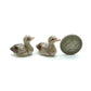 Mallard Duck Family