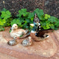 Mallard Duck Family