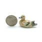 Mallard Duck Family