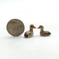 Mallard Duck Family