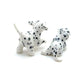 2 Dalmatian Pups
